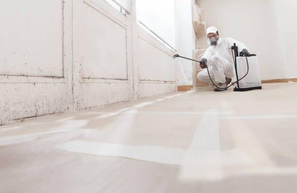24/7 Emergency Mold Remediation experts in East Meadow, NY